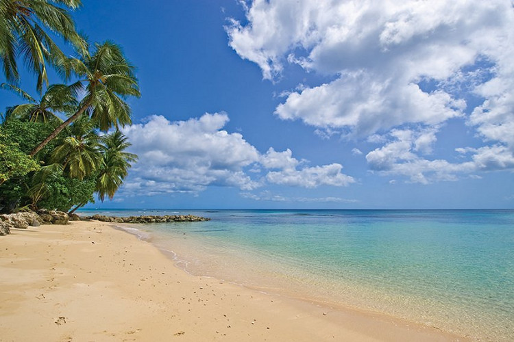 Image du st peters bay luxury resort and residences garden offert par VosVacances.ca