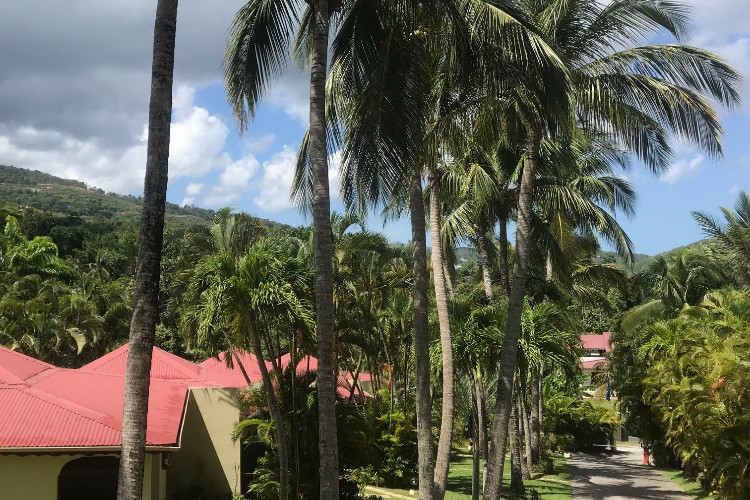 Image principale de l'hôtel Habitation Grande Anse offert par VosVacances.ca