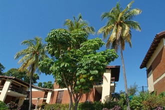 Image du hotel versalles garden offert par VosVacances.ca